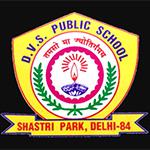 D.V.S. Public School