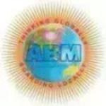 A.B.M. Public School