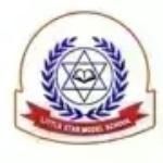 Little Star Model School