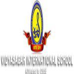 Vidyasagar International Play School
