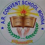 S.R. Convent School