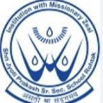 Shri Jyoti Prakash Senior Secondary School