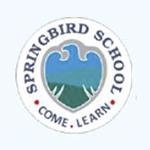 Springbird School