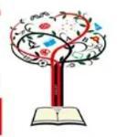 Ascot International School