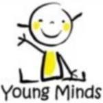 Young Minds School
