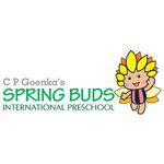 Spring Buds International Preschool