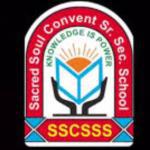Sacred Soul Convent Senior Secondary School