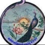 Vidya Bhawan Public School