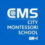 City Montessori School